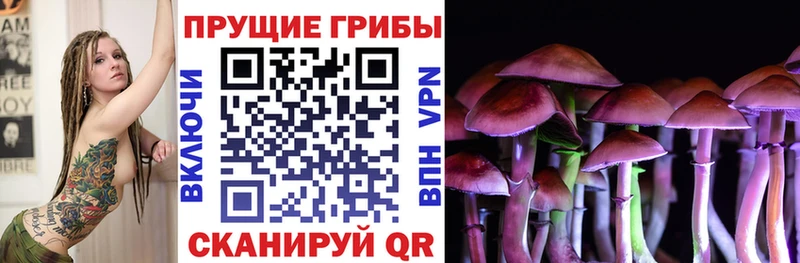 как найти закладки  Высоцк  Псилоцибиновые грибы прущие грибы 